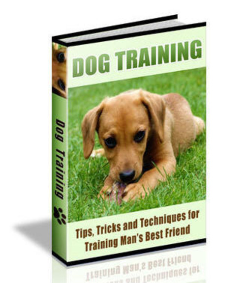 Product picture Dog Training - Tips, Tricks and Techniques - PDF eBook