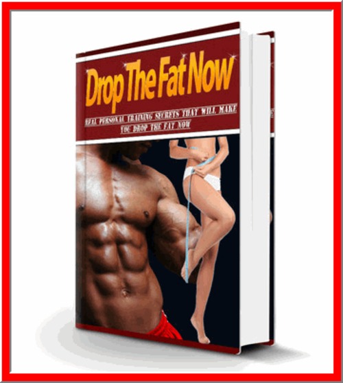 Product picture Drop The Fat Now - Training Secrets - PDF eBook