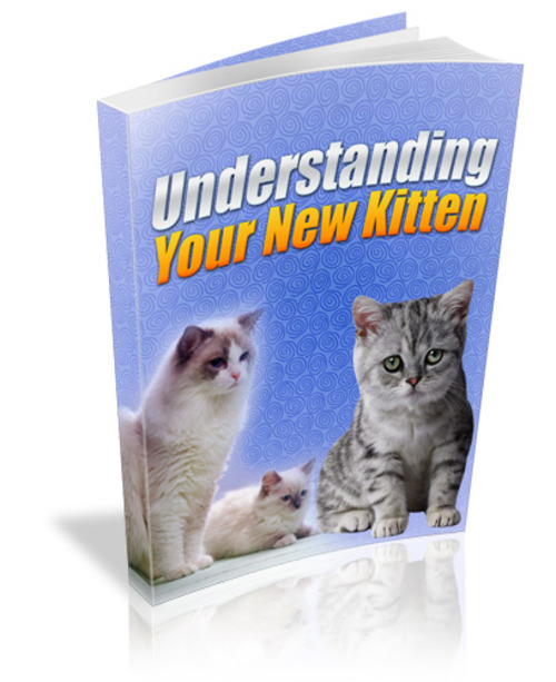 Product picture Understanding Your New Kitten - PDF eBook